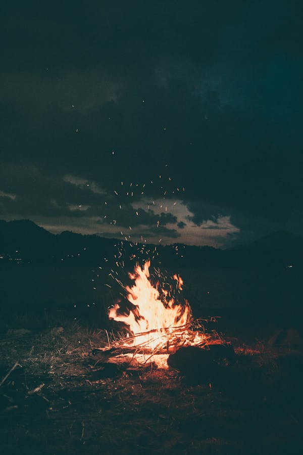 pexels-photo-1368382-1